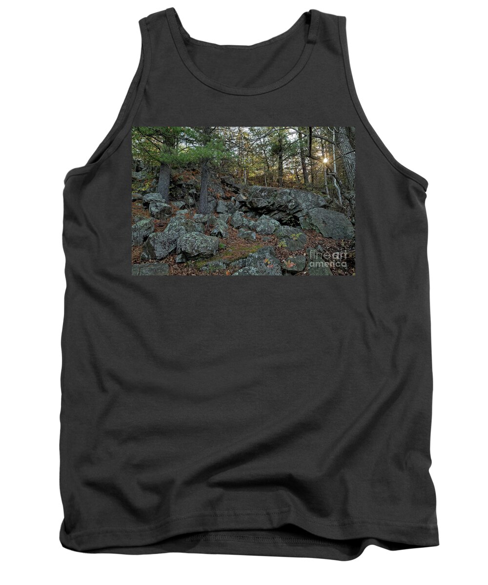 Sunlight Tank Top featuring the photograph Interstate Park in Wisconsin by Natural Focal Point Photography