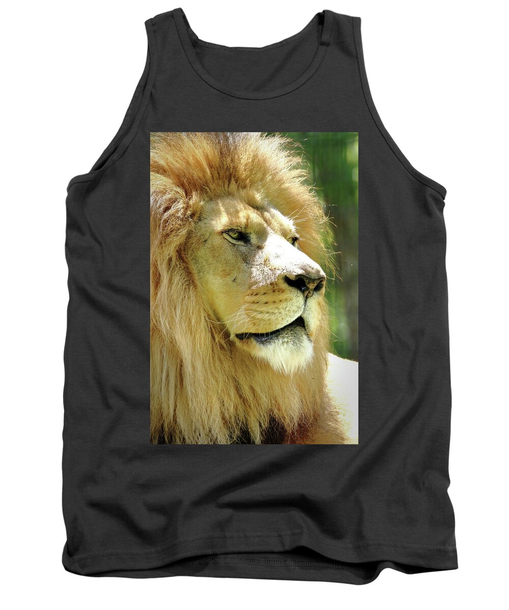 Lion Tank Top featuring the photograph Is This My Good Side by Lens Art Photography By Larry Trager