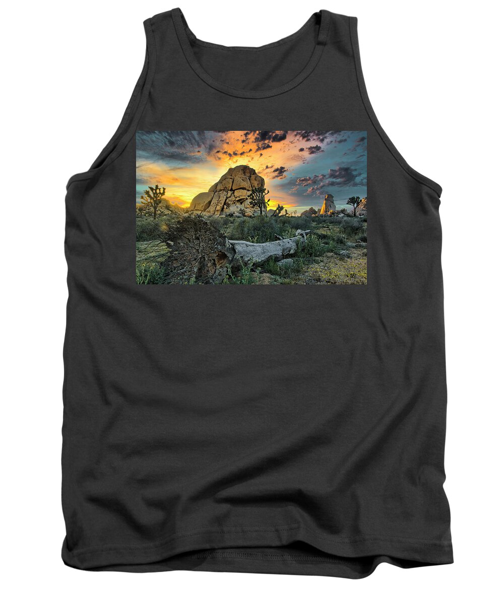 California Tank Top featuring the photograph Joshua Tree National Park 4 by Donald Pash