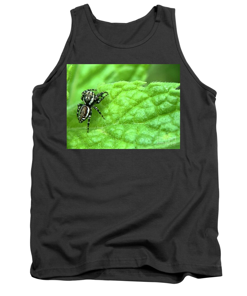 Spider Tank Top featuring the photograph Jumping Spider by Catherine Wilson