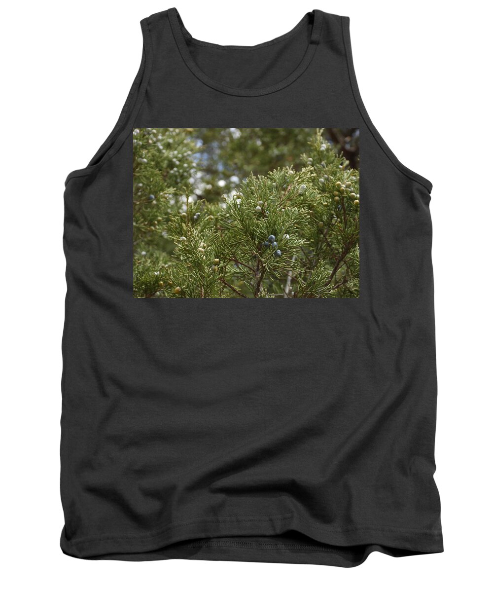 Berries Tank Top featuring the photograph Juniper Berries by Amanda R Wright