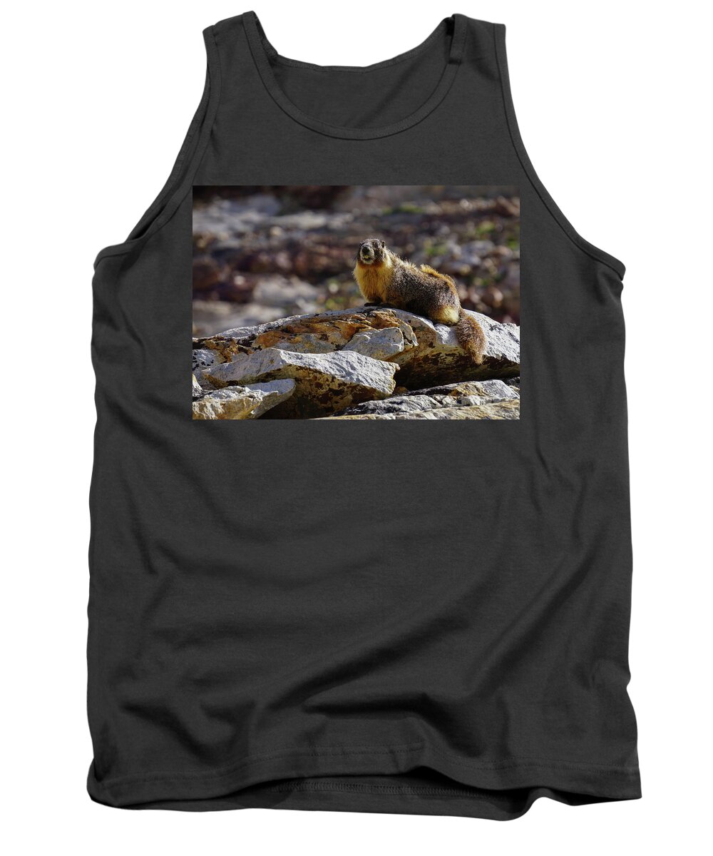 Marmot Tank Top featuring the photograph King of the Rock by Brett Harvey