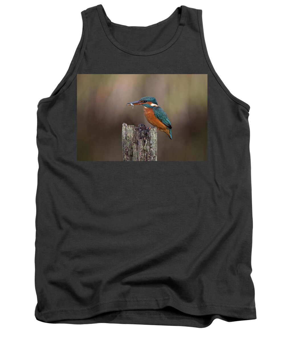 Kingfisher Tank Top featuring the photograph Kingfisher With Fish by Pete Walkden