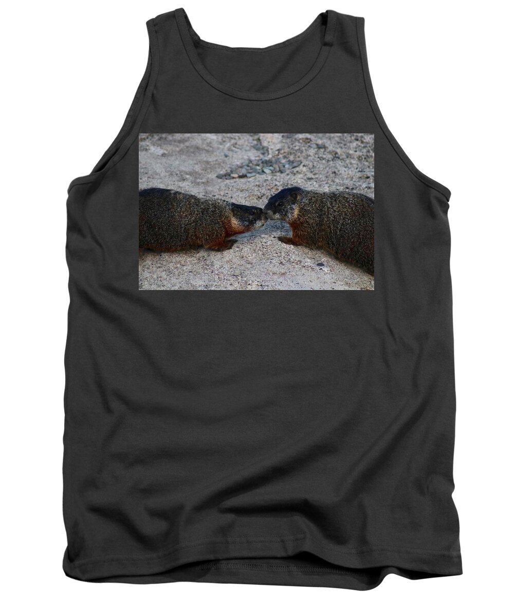 Marmot Tank Top featuring the photograph Kissin' Marmots by Yvonne M Smith
