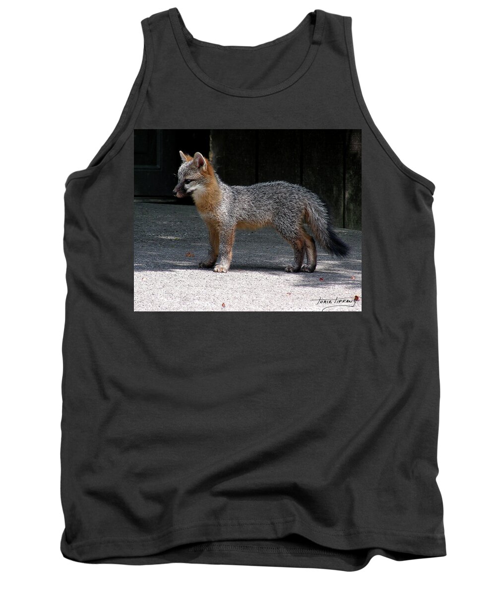 Kit Fox Tank Top featuring the photograph Kit Fox14 by Torie Tiffany