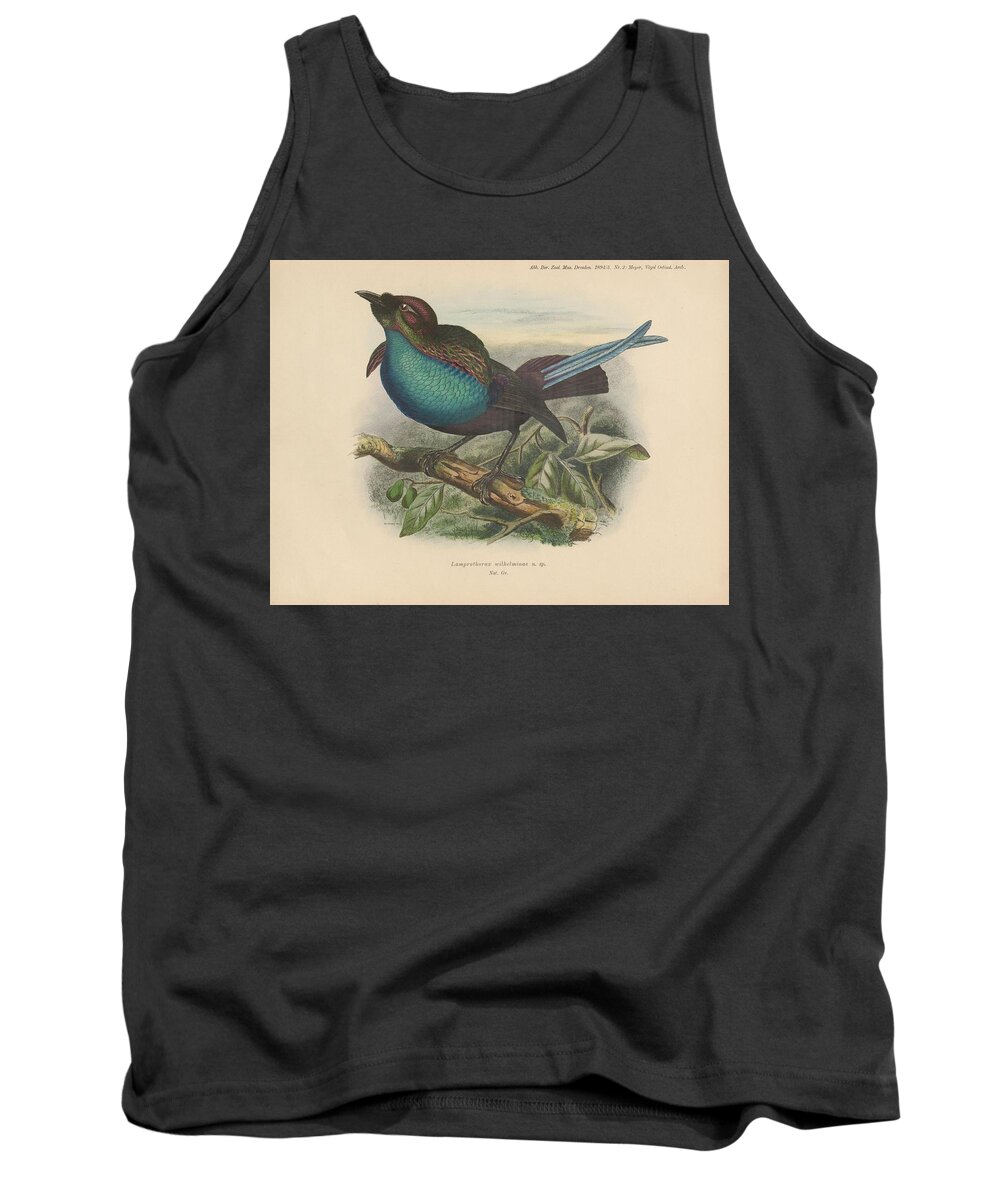 Bird Tank Top featuring the mixed media Lamprothorax Wilhelminae by World Art Collective