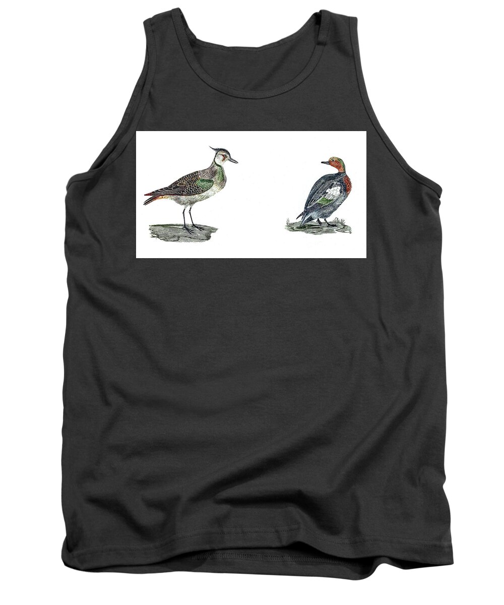 Lapwing And Duck By Johan Teyler (1648-1709) 2 Tank Top featuring the painting Lapwing and Duck by Johan Teyler by Artistic Rifki