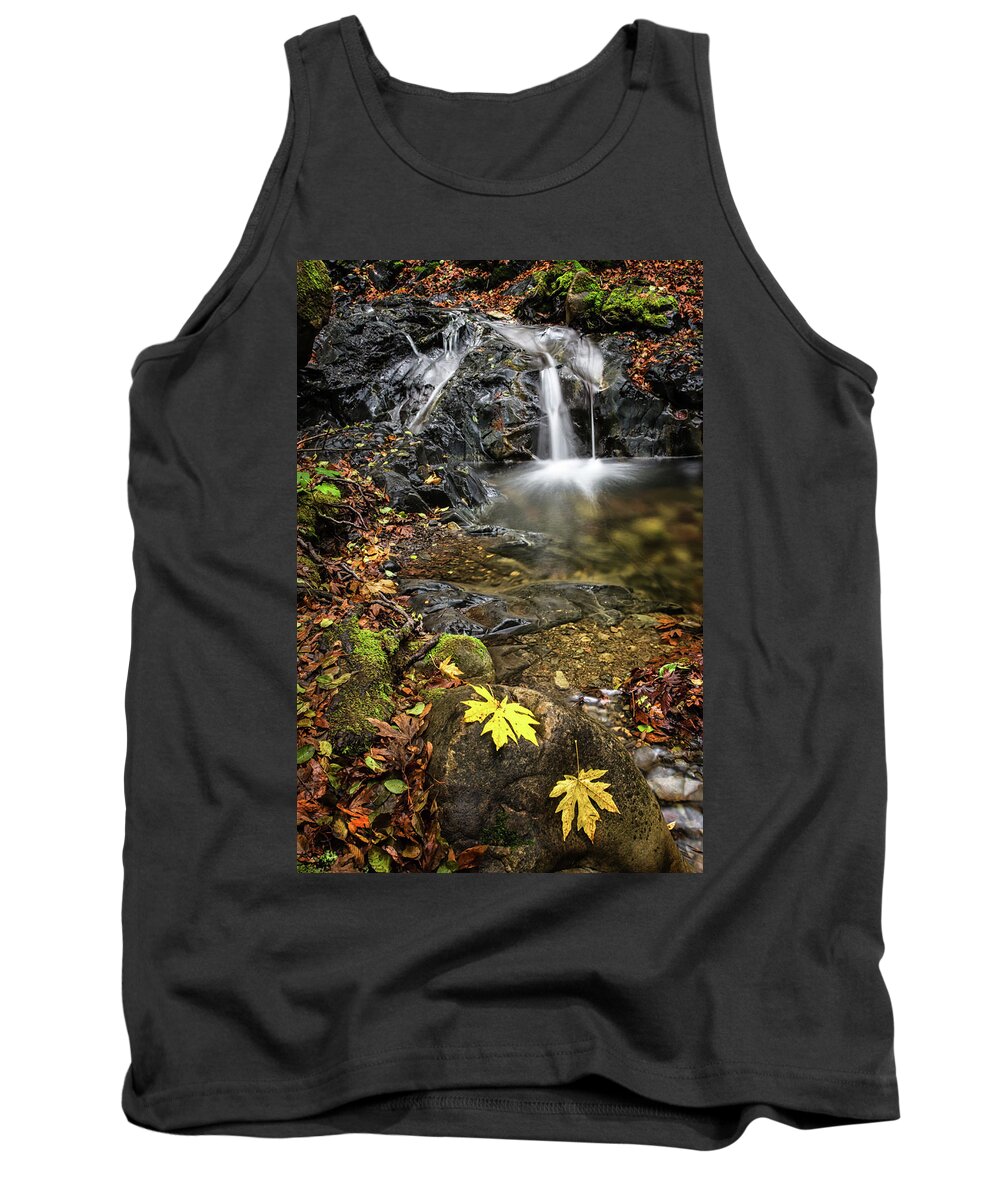 Waterfall Tank Top featuring the photograph Last Bit of Fall by Linda Villers