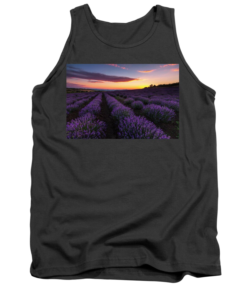 Bulgaria Tank Top featuring the photograph Lavender Sky by Evgeni Dinev