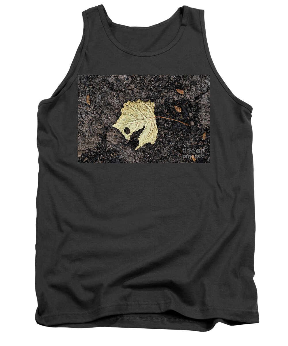 Cottonwood Leaf Tank Top featuring the photograph Leaf by Maresa Pryor-Luzier