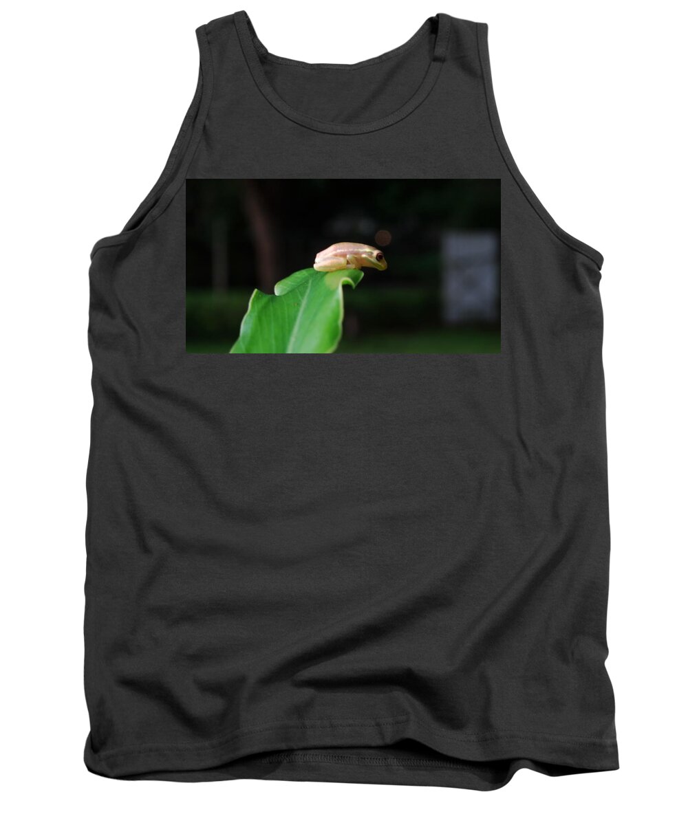 Froglet Tank Top featuring the photograph Leaving The Nest by Lizette Tolentino