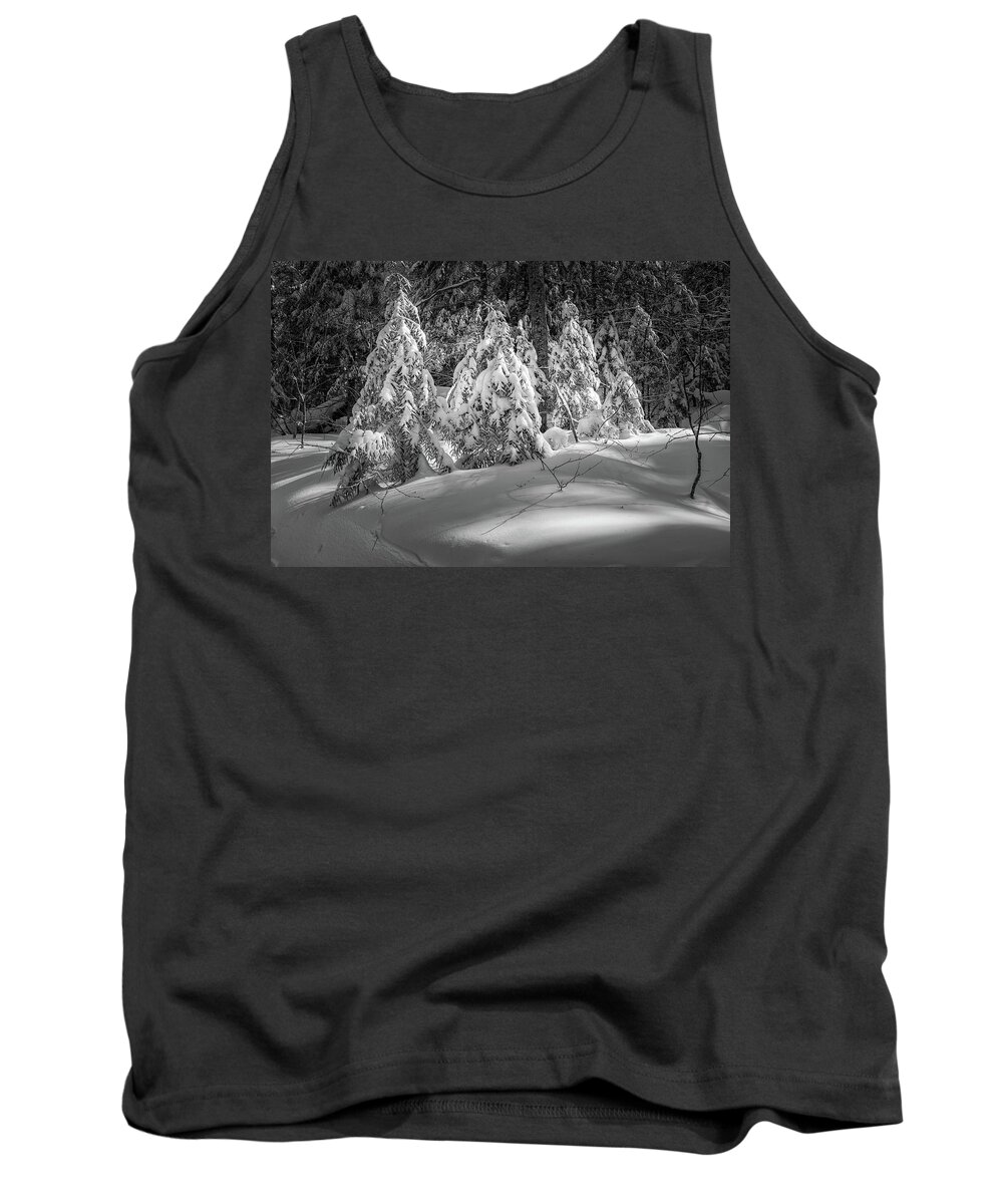 New Hampshire Tank Top featuring the photograph Light In The Winter Wood by Jeff Sinon