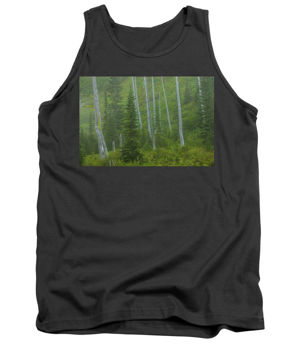 Mount Rainier National Park Tank Top featuring the photograph Lightning Strikes from the Past by Doug Scrima