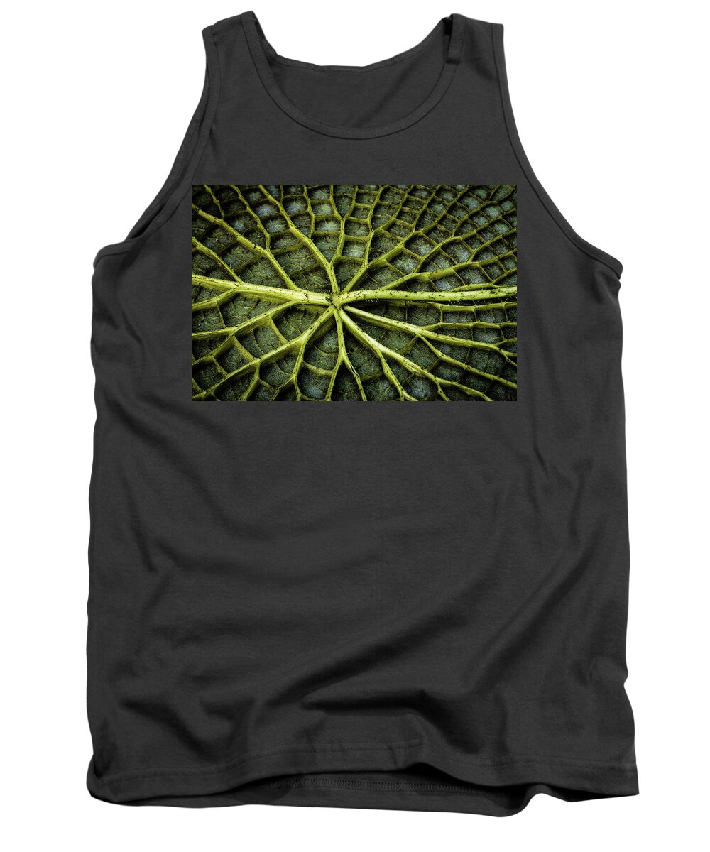 Italy Tank Top featuring the photograph Lily pad leaf by Craig A Walker