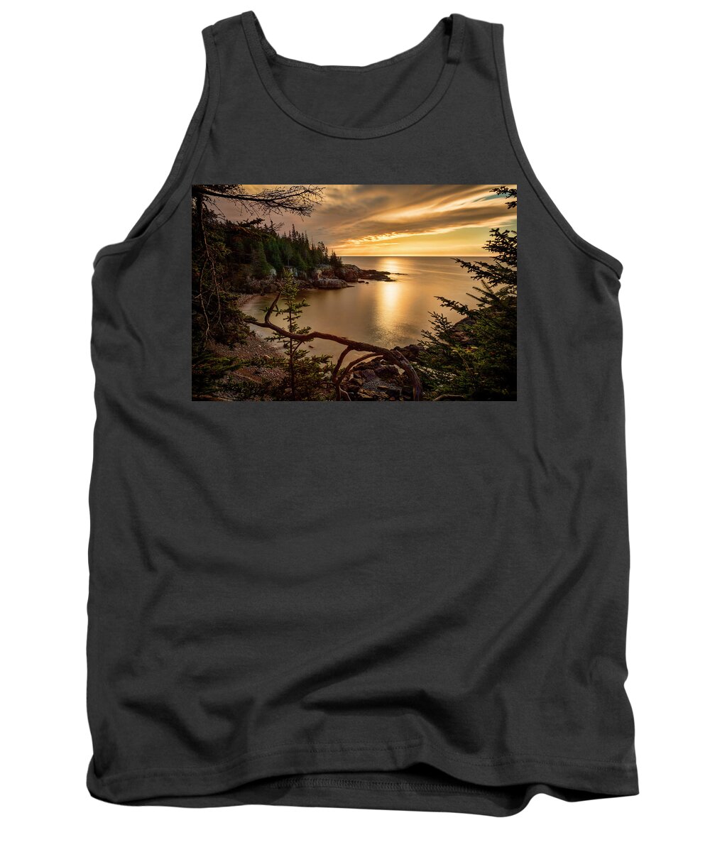 Acadia National Park Tank Top featuring the photograph Little Hunters Beach a3709 by Greg Hartford