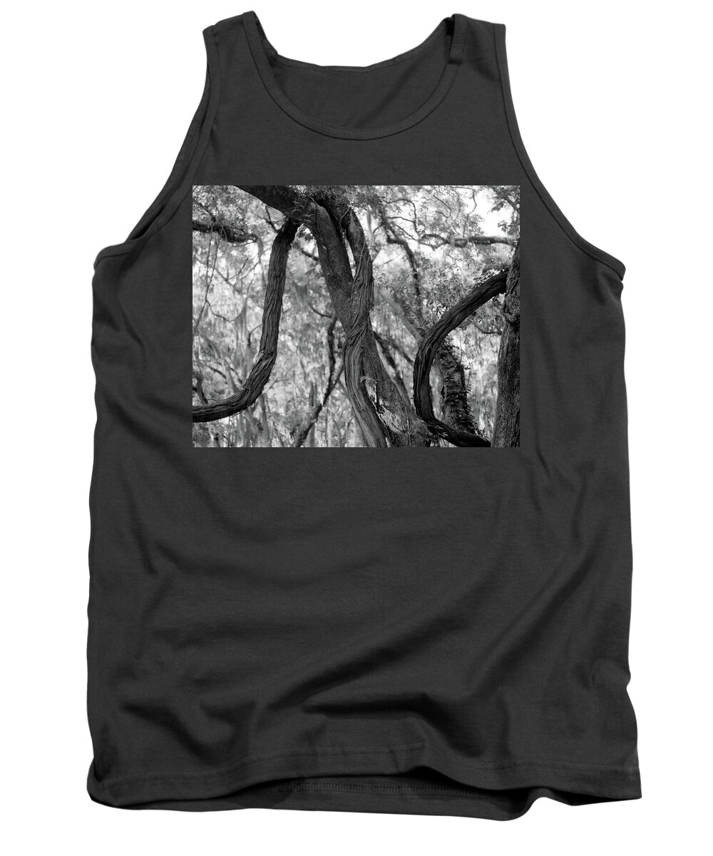 Horizontal Tank Top featuring the photograph Live Oaks and vines, St. Simons Park by John Simmons