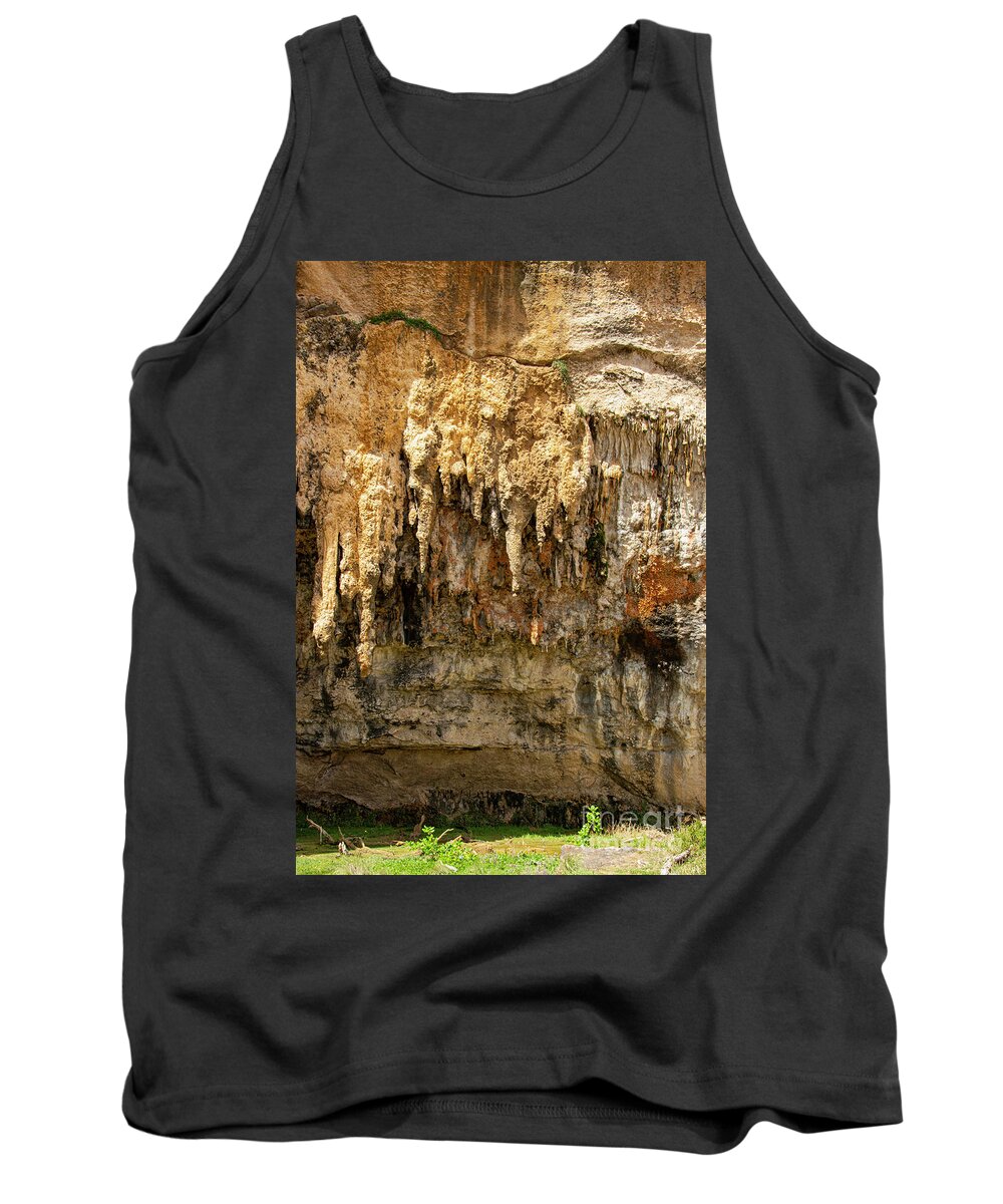 Great Ocean Road Tank Top featuring the photograph Lock Ard Gorge Cave Stalactites by Bob Phillips