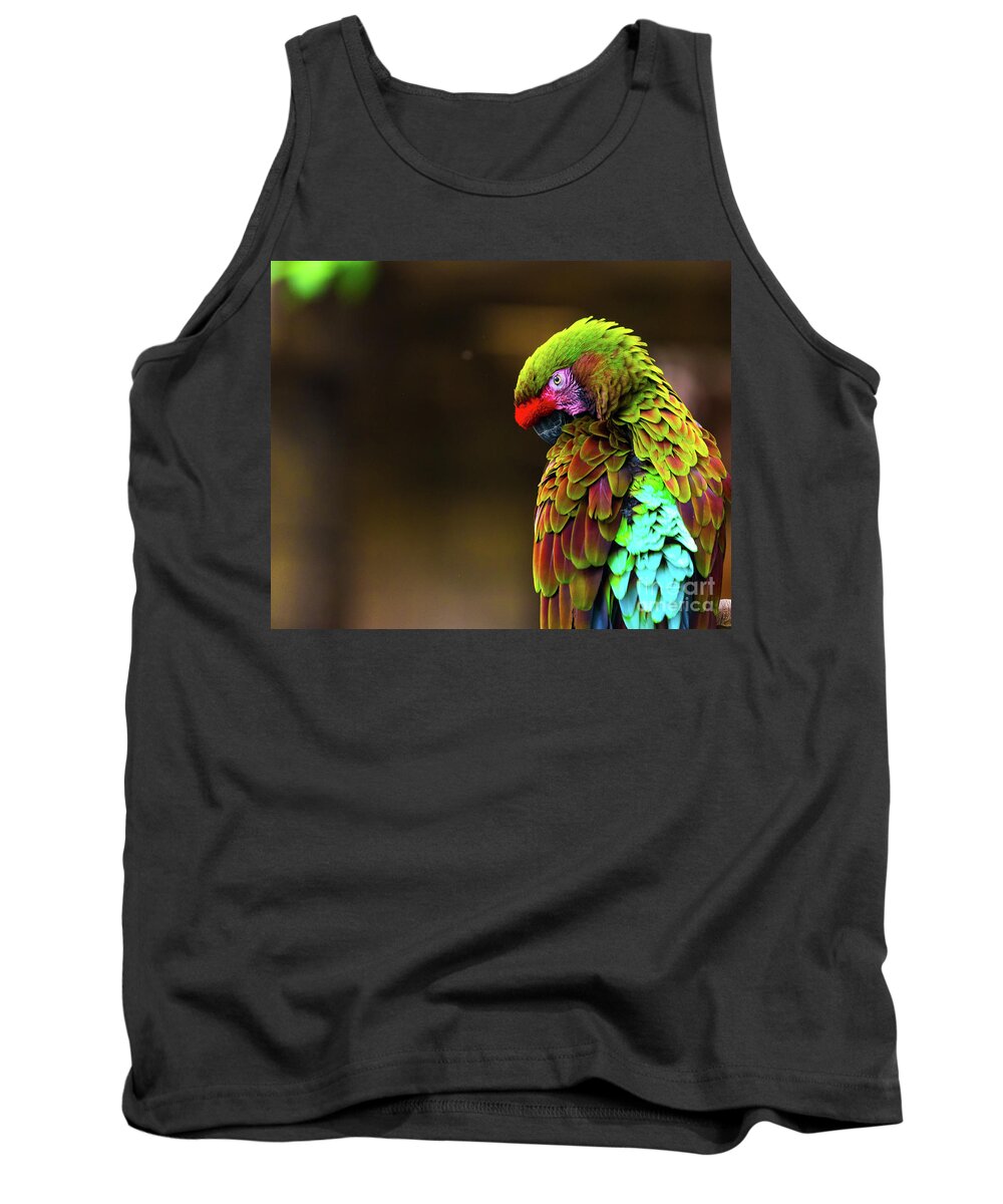#parrot #look # Eyes #birds #feathers #eyes #color #colour Tank Top featuring the photograph Looking Back by Dheeraj Mutha