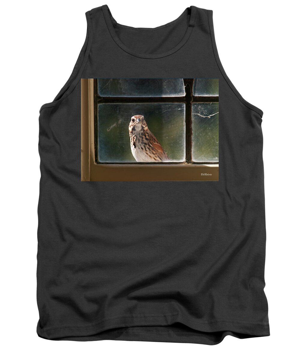 Humor Tank Top featuring the photograph Looky Lou by Bill Roberts