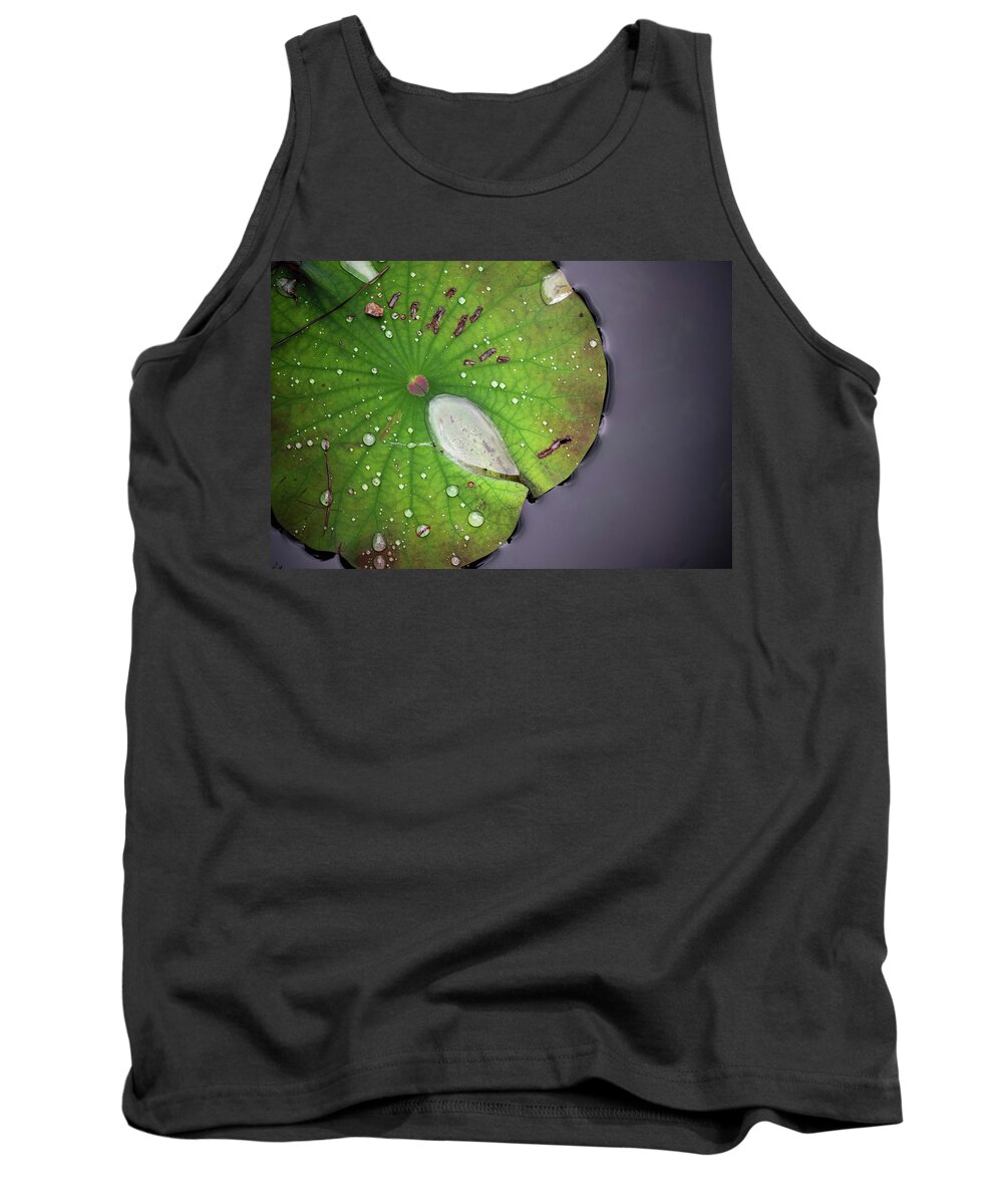 Lotus Tank Top featuring the photograph Lotus by Amanda Rimmer