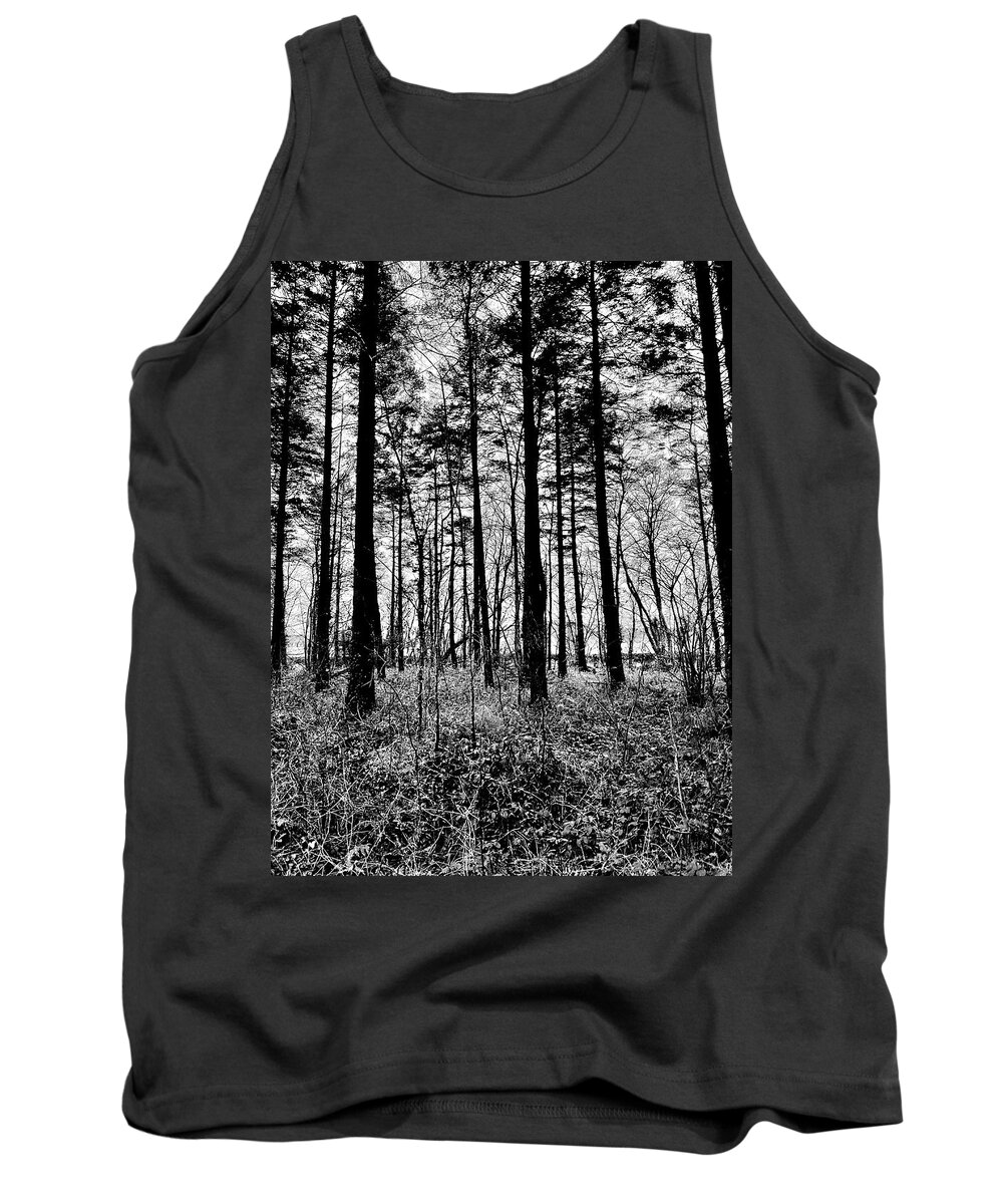 Mote Park Tank Top featuring the photograph Matchstick Trees by Six Months Of Walking