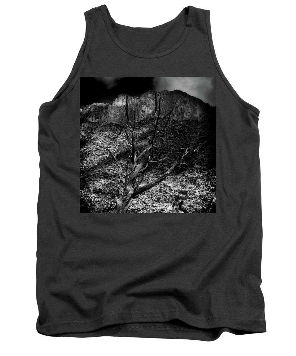 Mckittrick Canyon Tank Top featuring the photograph McKittrick Canyon Tree by George Taylor