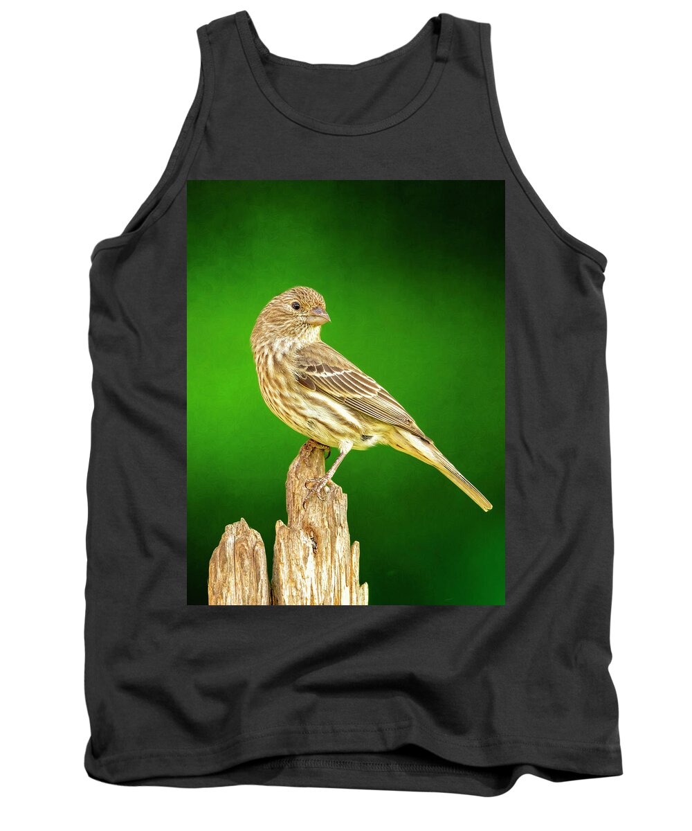 Finch Tank Top featuring the photograph Miss Finch Looking Perty by Bill and Linda Tiepelman