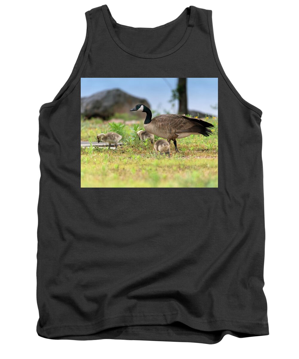 Canadian Tank Top featuring the photograph Momma Goose and the Babies by Gary Langley