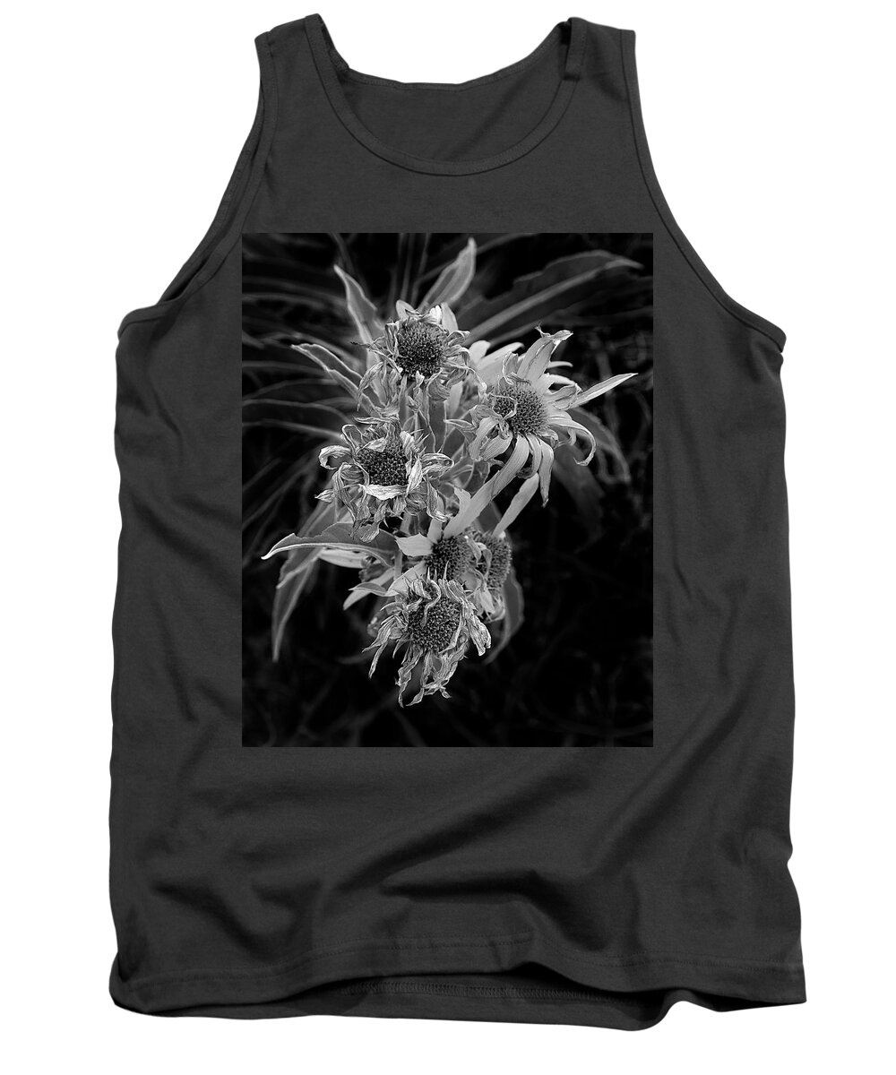 Cluster Tank Top featuring the photograph Moonlight Sextet by Michael Gross