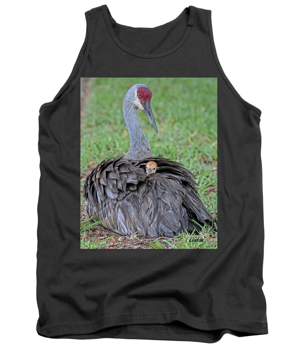 Sandhill Crane Tank Top featuring the digital art MOTHER SANDHILL CRANE AND CHICK cps by Larry Linton