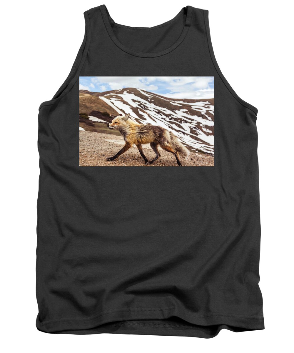 Fox Tank Top featuring the photograph Mountain Fox by Jeanette Fellows