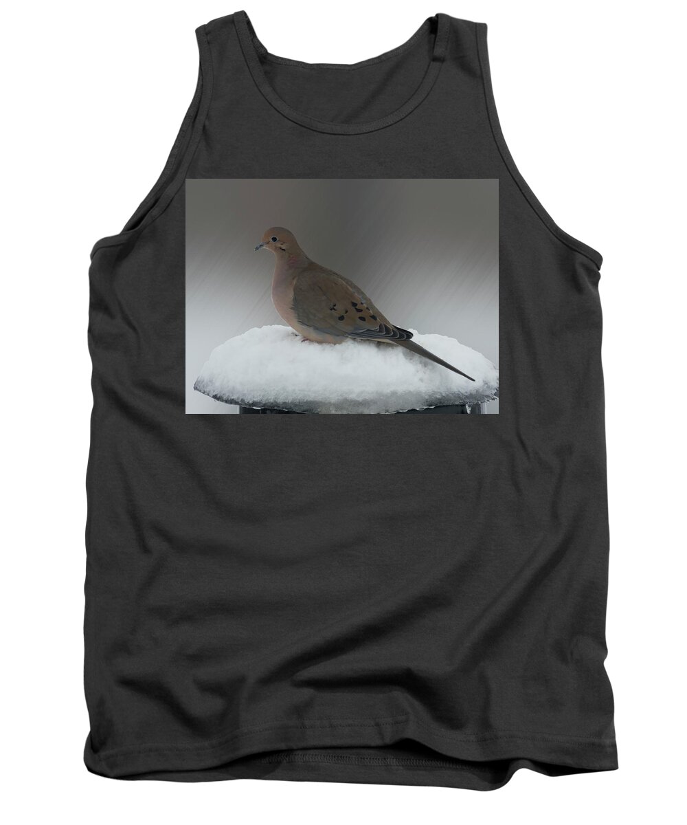 Bird Tank Top featuring the photograph Mourning Dove by Leslie Montgomery