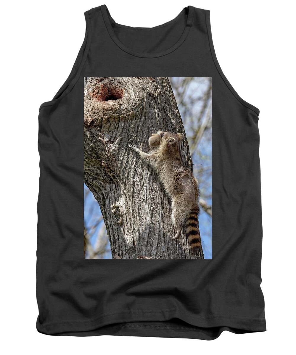 Animal Tank Top featuring the photograph Moving Up by Gina Fitzhugh