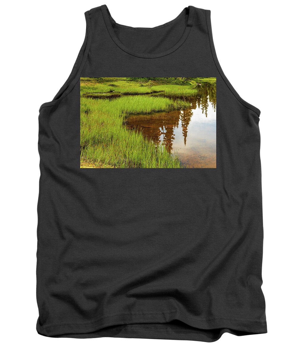 Landscapes Tank Top featuring the photograph Mt. Washington, The Other Side - 1 by Claude Dalley