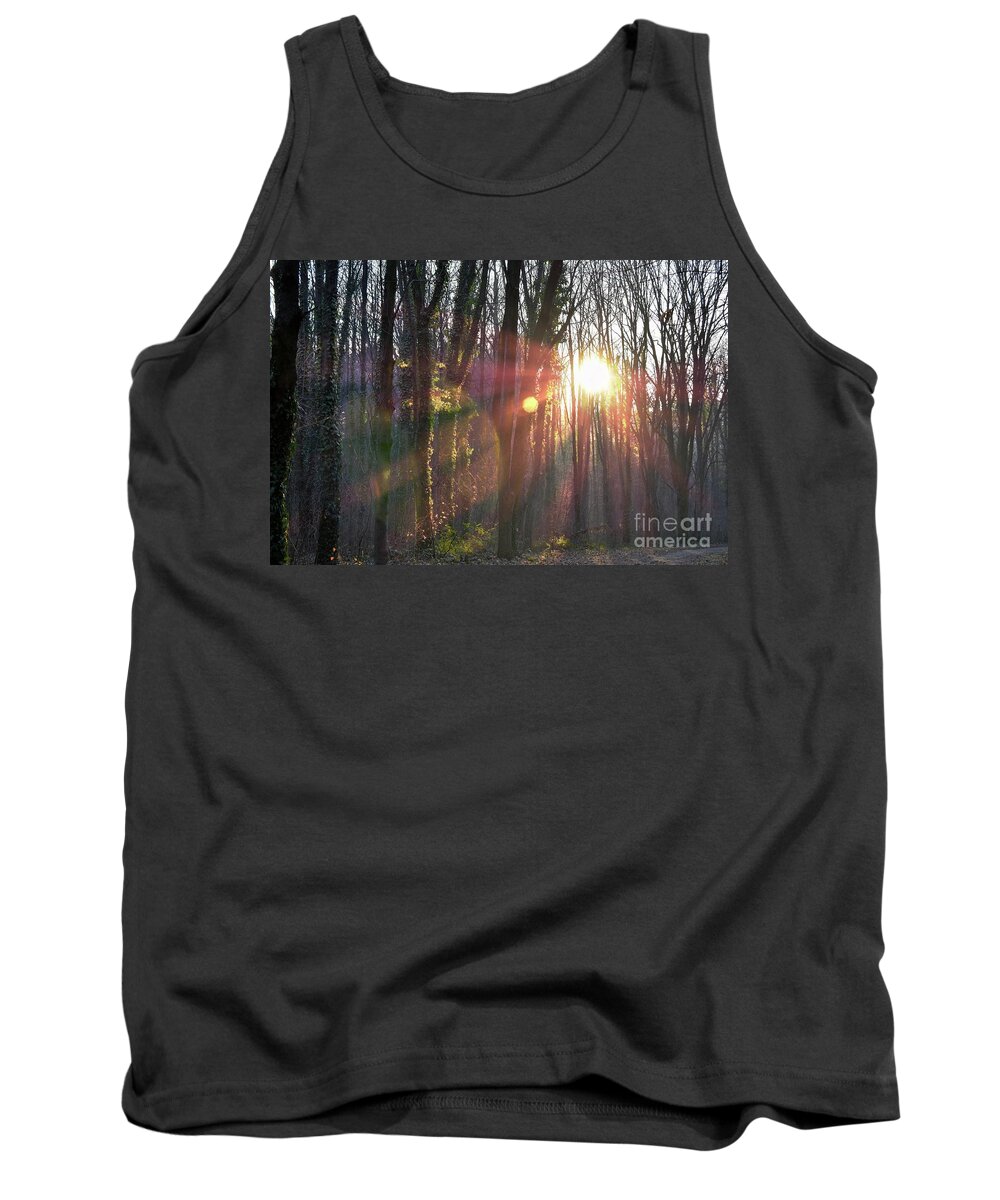 Nature Tank Top featuring the photograph Mystical Forest And Sun's Rays by Leonida Arte