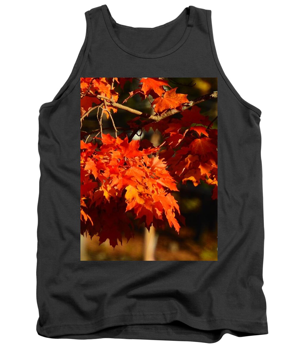 New England Tank Top featuring the photograph New England Maple Tree in Autumn by Eunice Miller