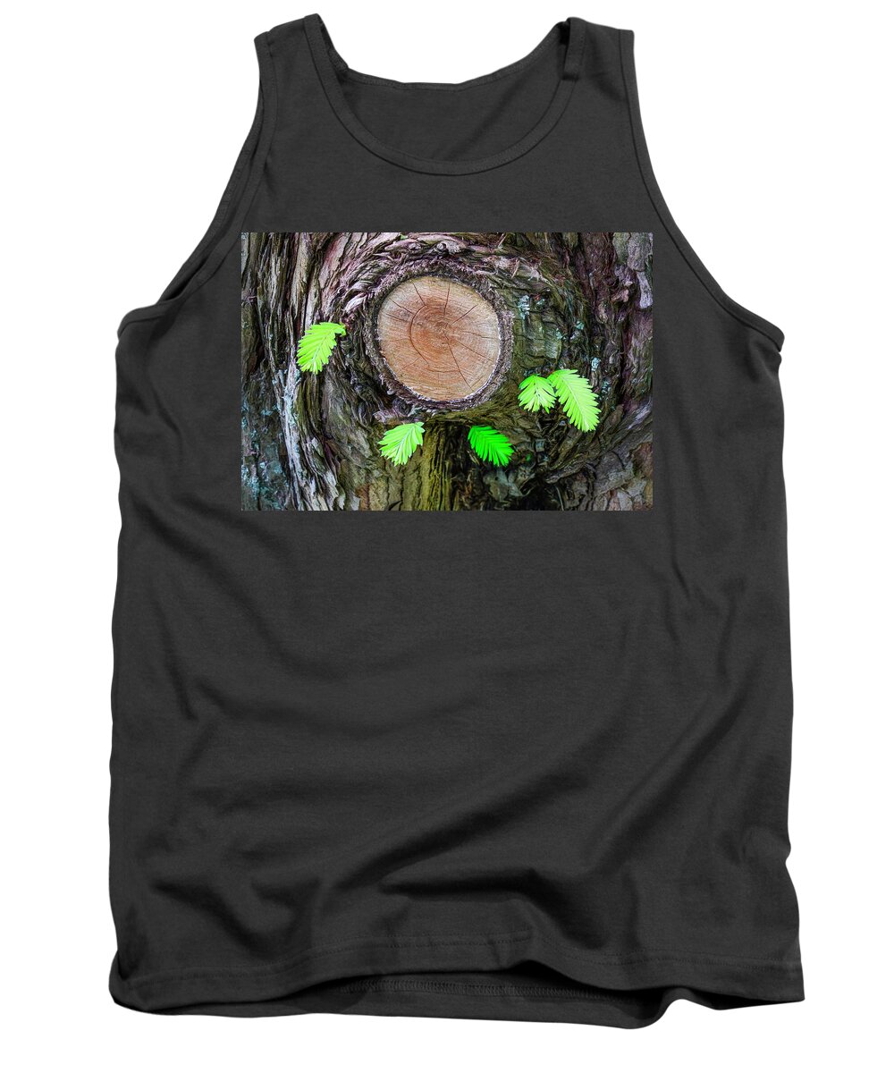 Tree Tank Top featuring the photograph New Growth On Old Tree by Gary Slawsky
