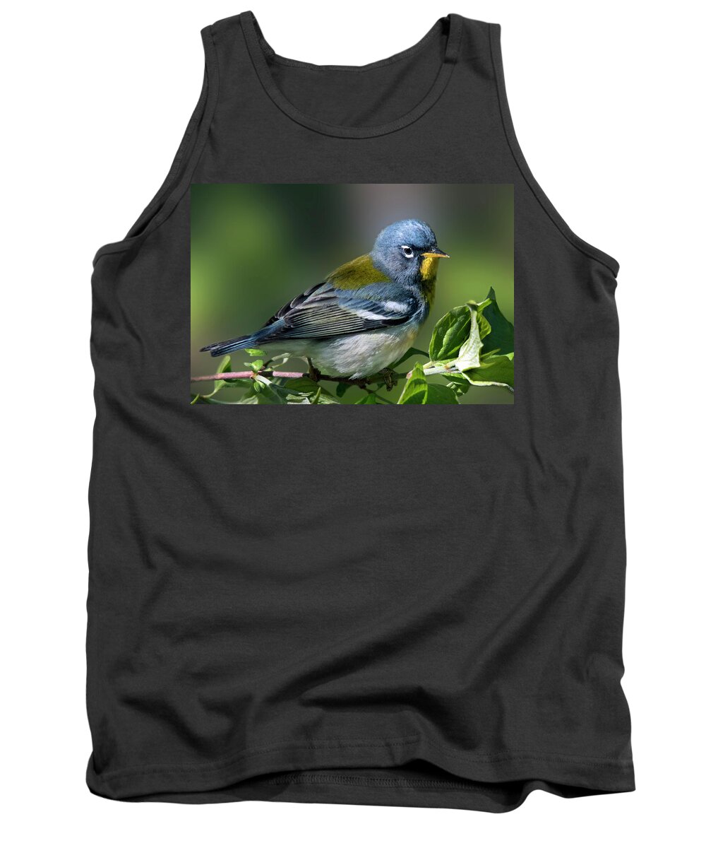 Northern Parula Shines Above All Tank Top featuring the photograph Northern Parula shines above all by Carolyn Hall
