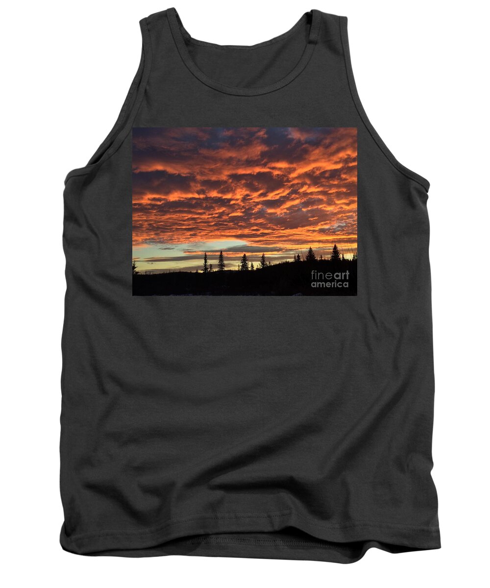 Chilcotin Plateau Tank Top featuring the photograph November Sunset by Nicola Finch