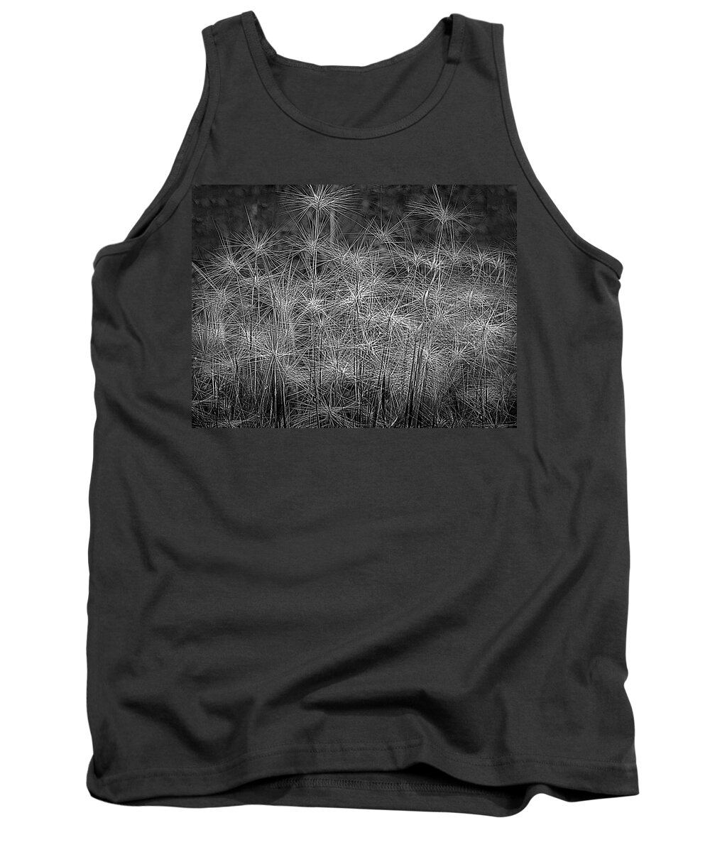 Texture Tank Top featuring the photograph Nature's Texture by Laura Putman