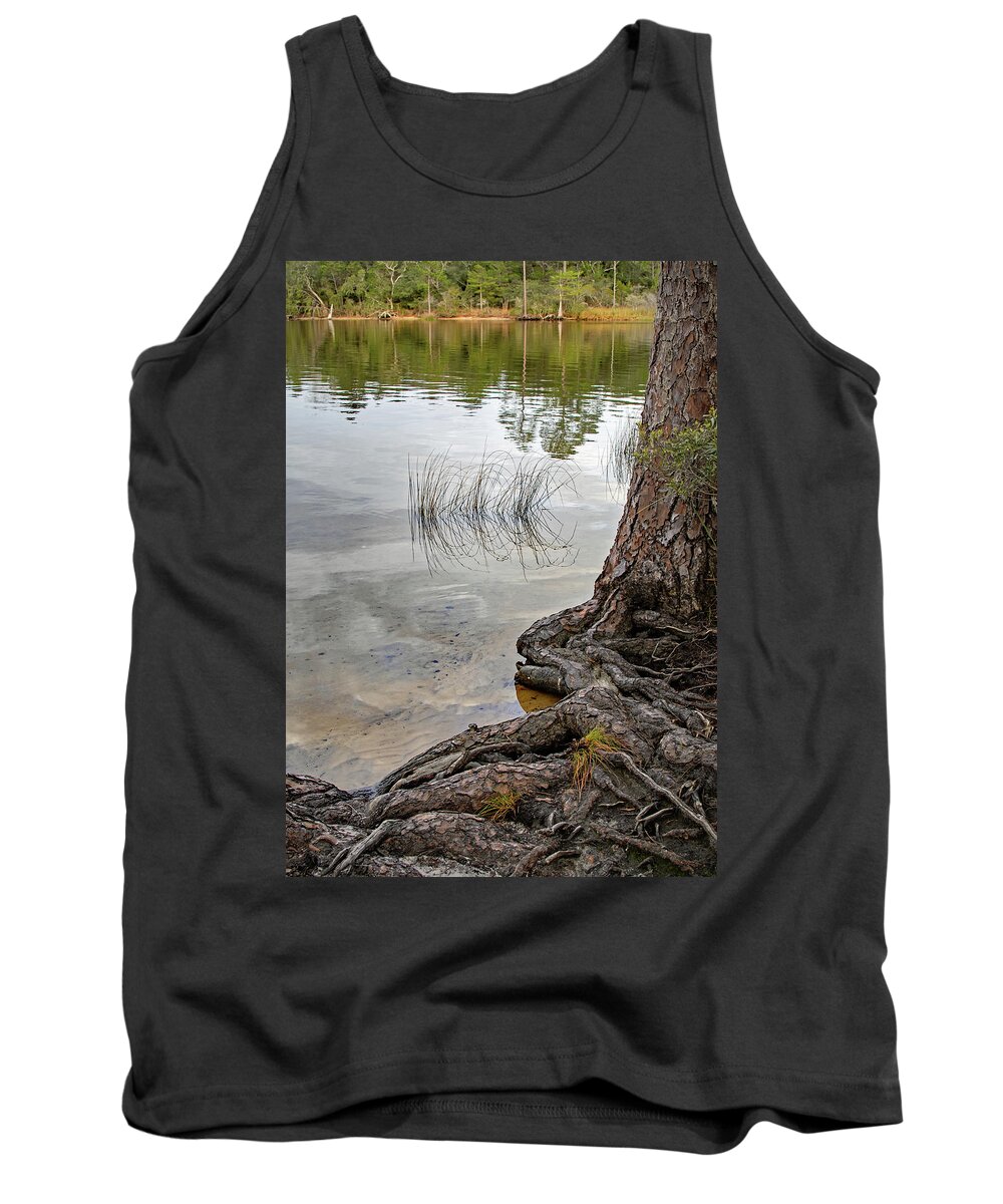 Bayou Tank Top featuring the photograph On the Bayou by M Kathleen Warren