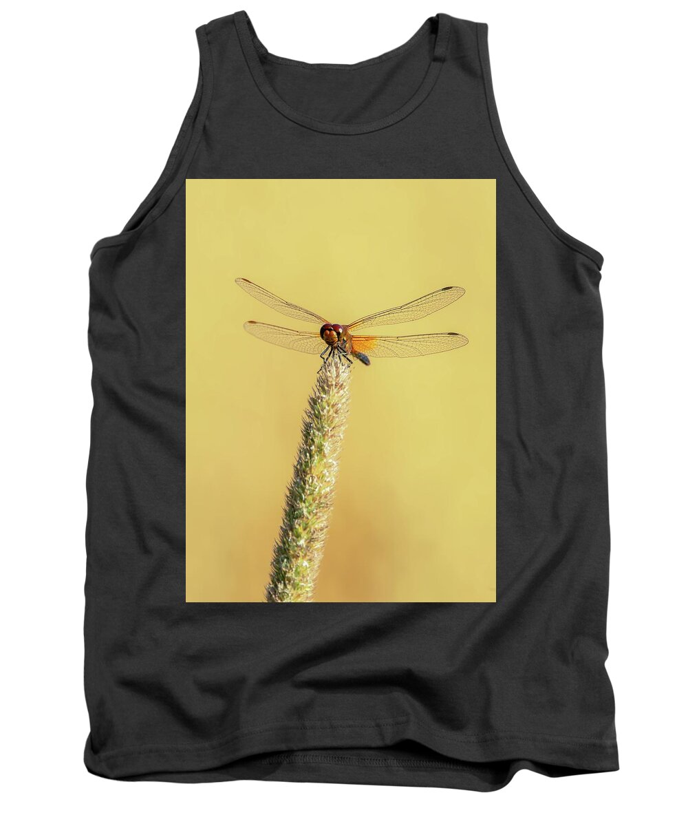 Dragonfly.macro.nature.august Tank Top featuring the photograph On top by Rose-Marie Karlsen