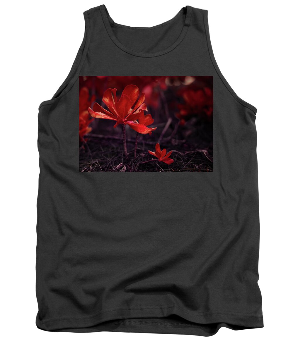 Beach Cabbage Photo Tank Top featuring the photograph Orange Beach Cabbage by Gian Smith