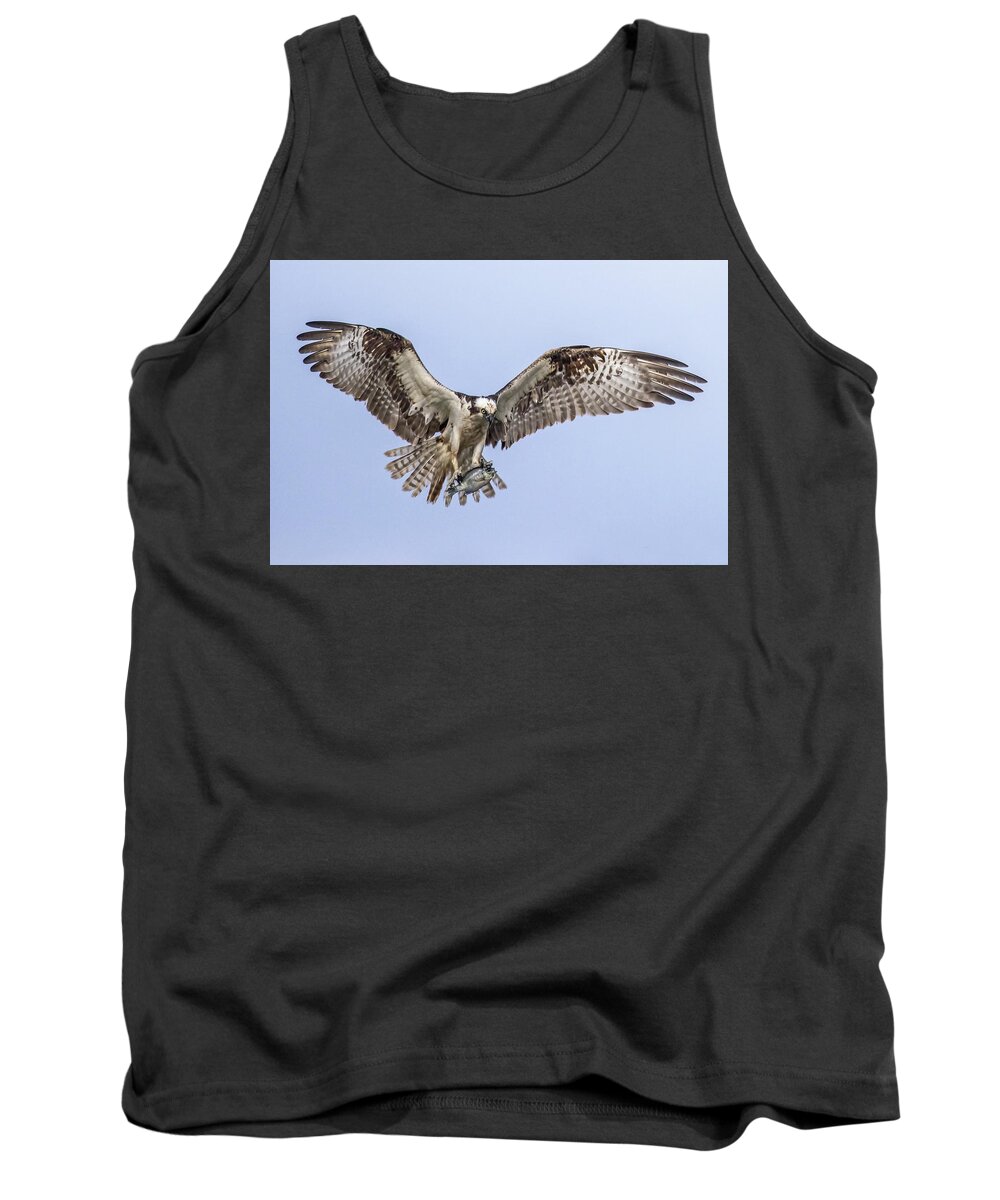  Tank Top featuring the photograph Osprey #1 by Carla Brennan