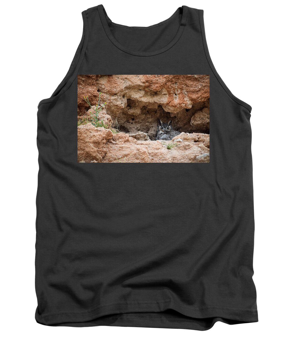 Owl Tank Top featuring the photograph Owl Nesting on Cliffside by Bonny Puckett