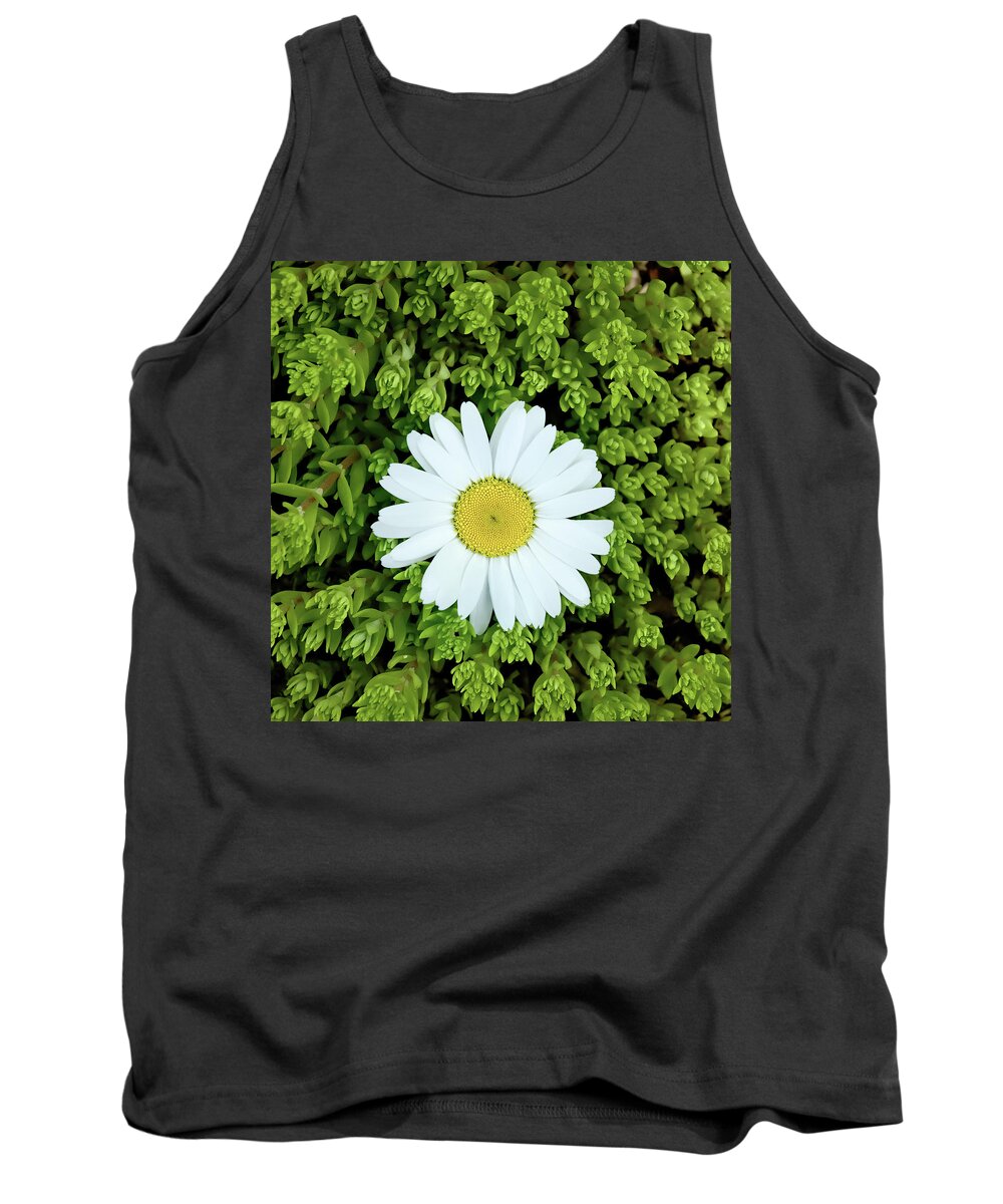 Deepcut Gardens Tank Top featuring the photograph Oxeye Daisy Surrounded by Gary Slawsky