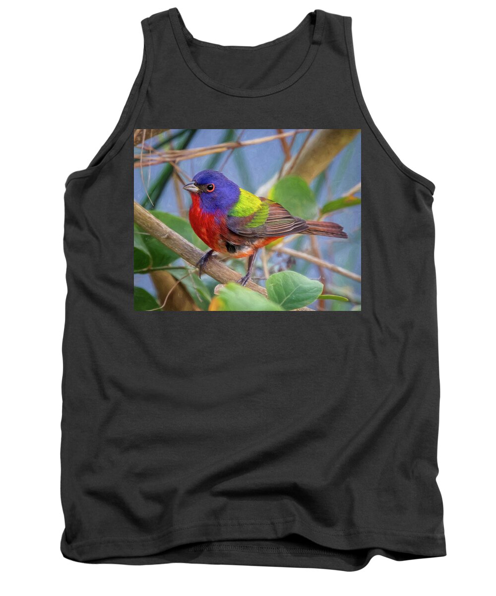Painted Bunting Tank Top featuring the photograph Painted Bunting by Jaki Miller