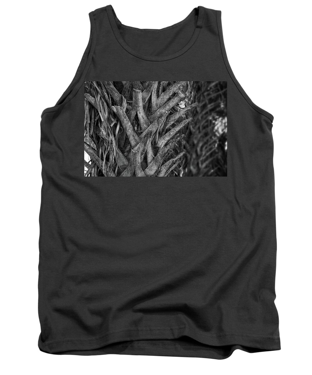 Palm Tree Tank Top featuring the photograph Palm Tree Textures by George Taylor