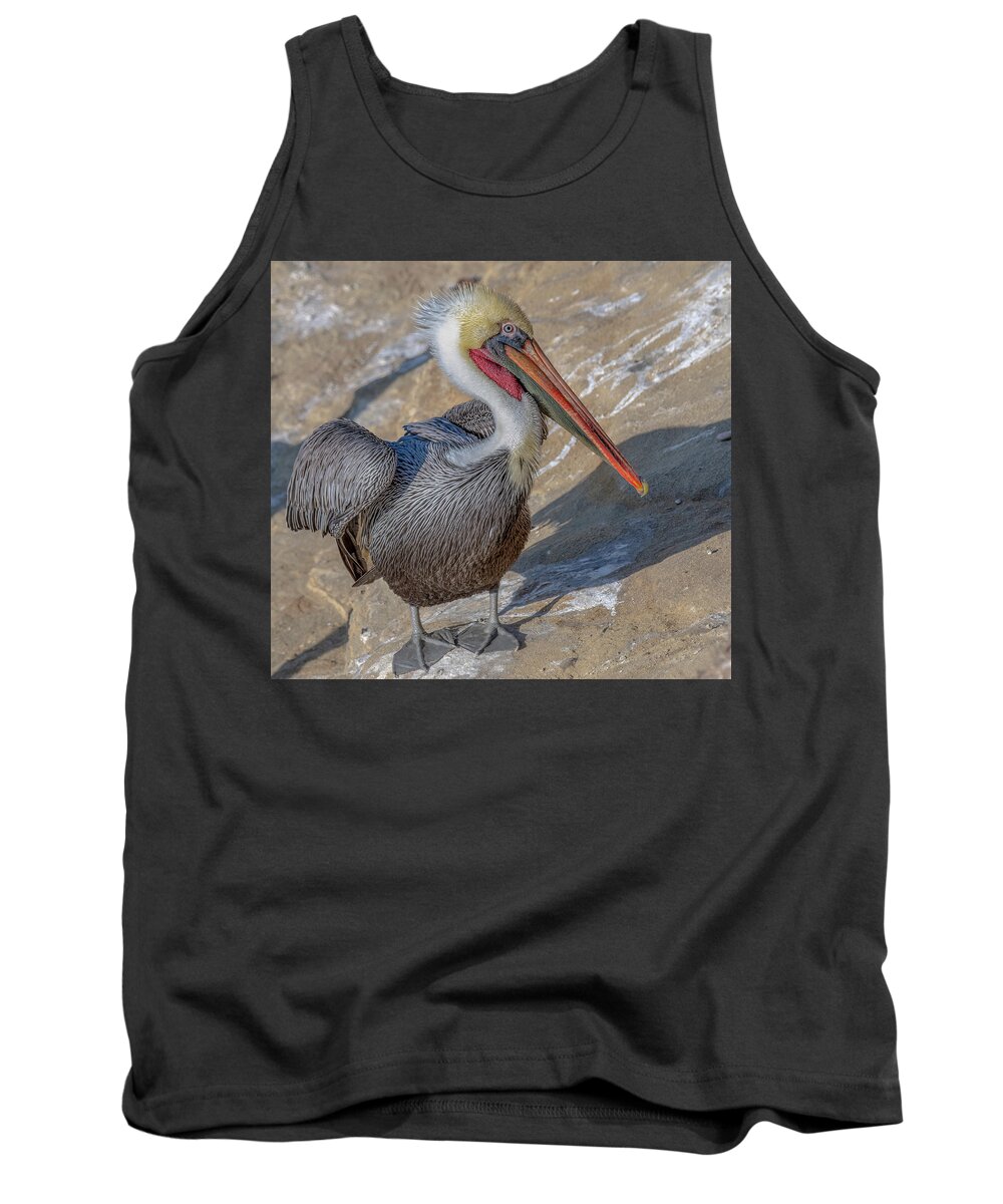 Pelican Tank Top featuring the photograph Pelican in Color by Jerry Cahill