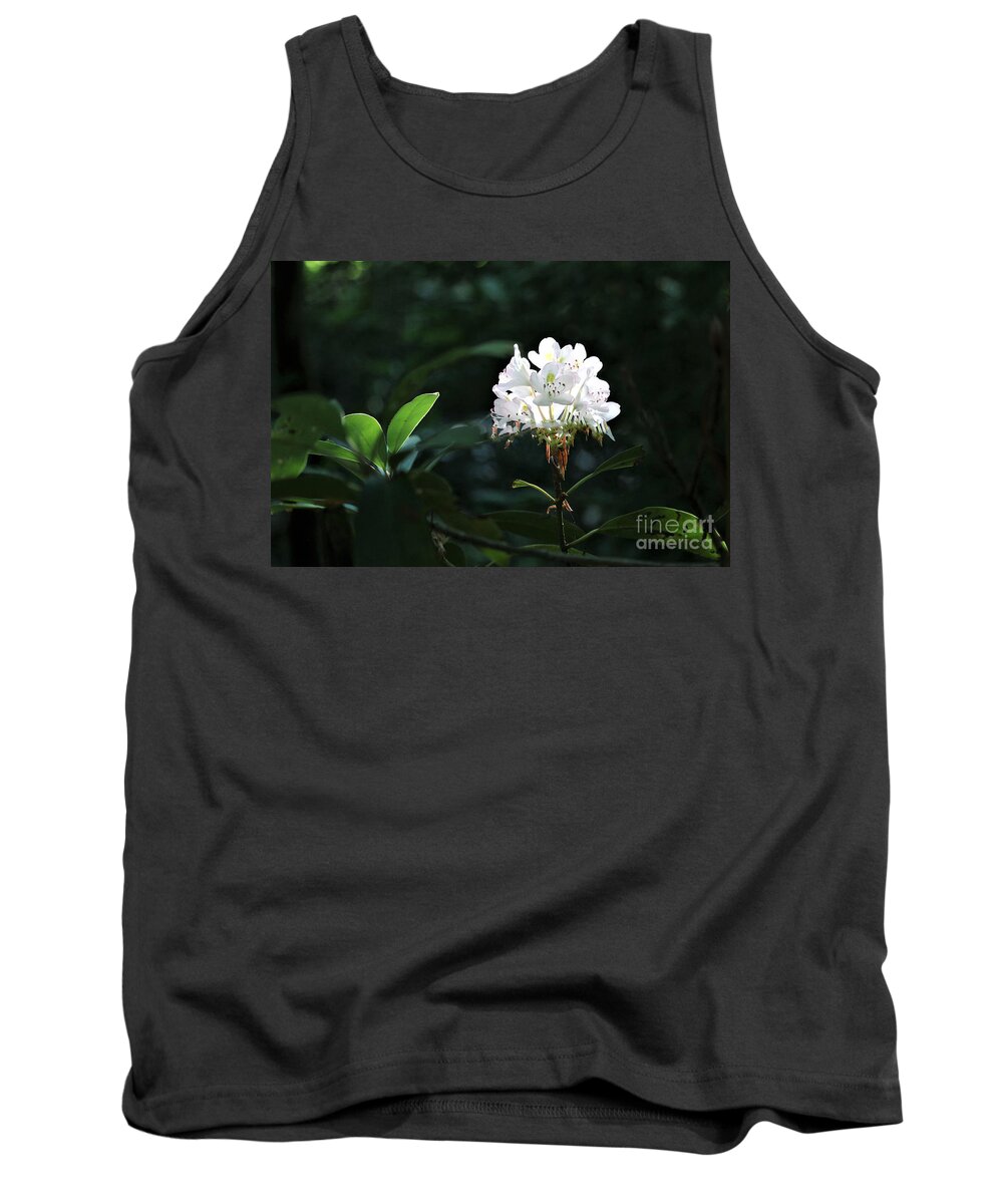 Landscape Tank Top featuring the photograph Perfect light by Theresa D Williams